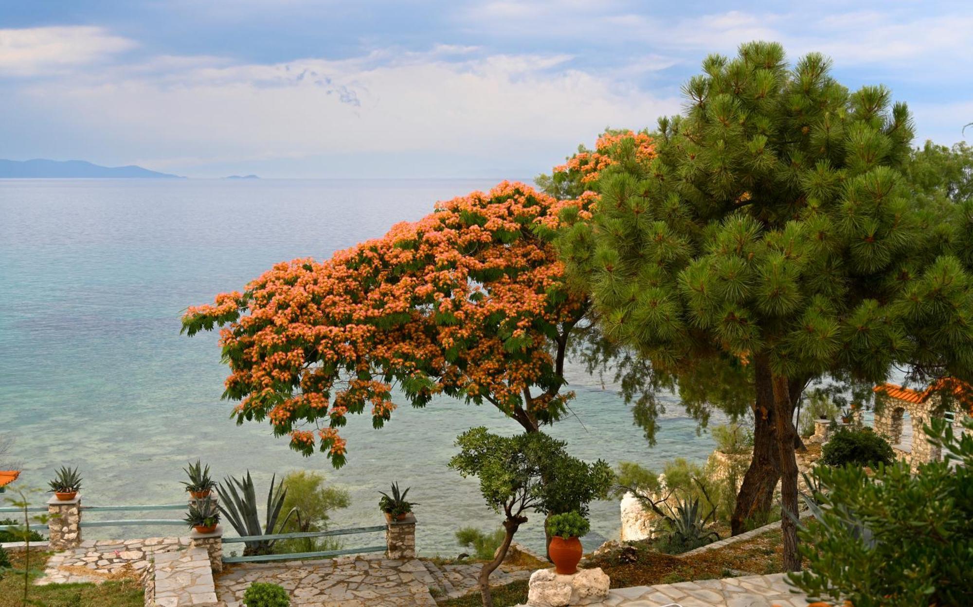 Kiparissi Villa Halkidiki Ierissós Ngoại thất bức ảnh